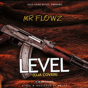 Mr Flowz Level Reminisce Oja Cover.mp3