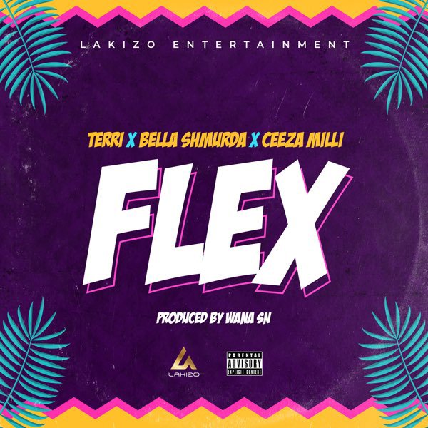 Download Terri – Flex X Bella Shmurda X Ceeza Milli.Mp3