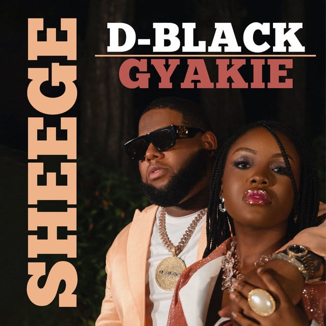 D-Black ft Gyakie – Sheege Mp3 Download