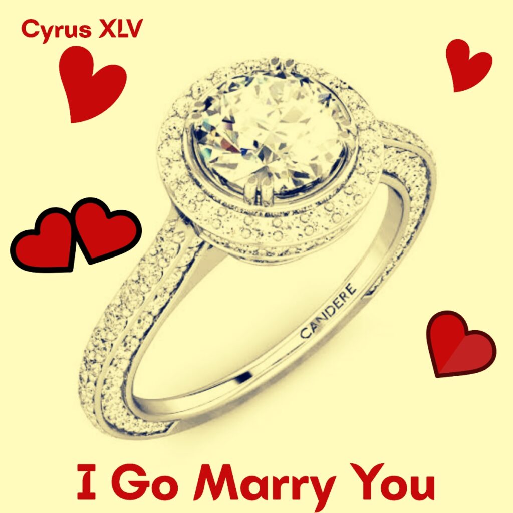 Cyrus XLV - I Go Marry You