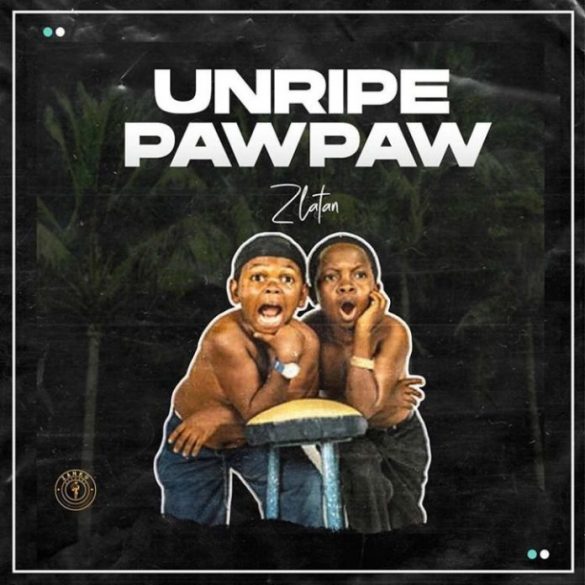Unripe Pawpaw