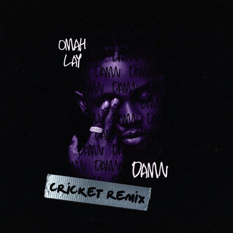 Omah Lay – Damn (Cricket Remix) Free Mp3 Download