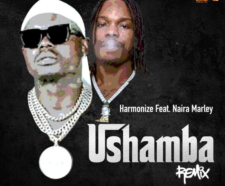 Harmonize – Ushamba (Remix) Ft Naira Marley Free Mp3 Download