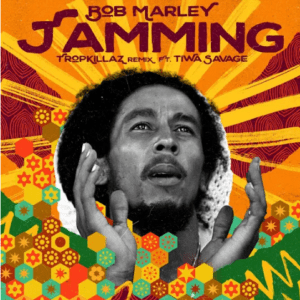 Bob Marley – Tamming Remix Ft Tiwa Savage Free Mp3 Download