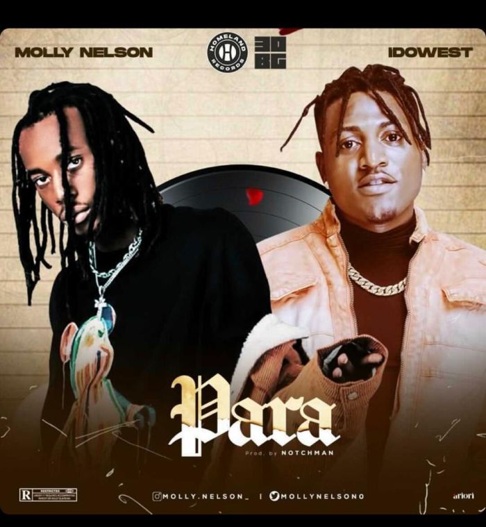 Molly Nelson ft Idowest – Para Free Mp3 Download