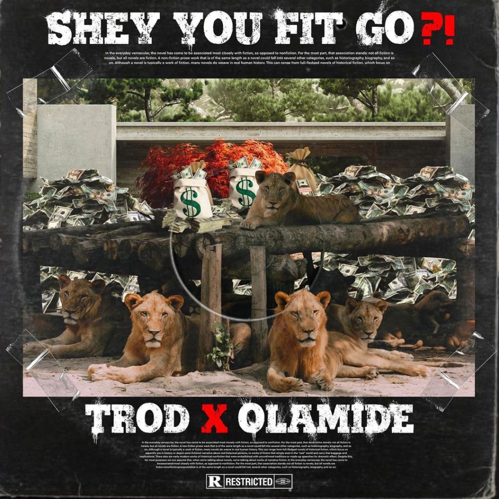 Trod ft Olamide – Shey You Fit Go?! Audio