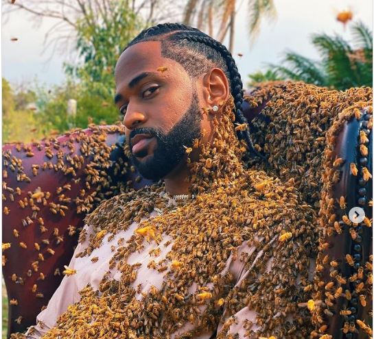 Big Sean Stirs Reactions After Sharing Photos Of Himself Covered In 65,000 Bees