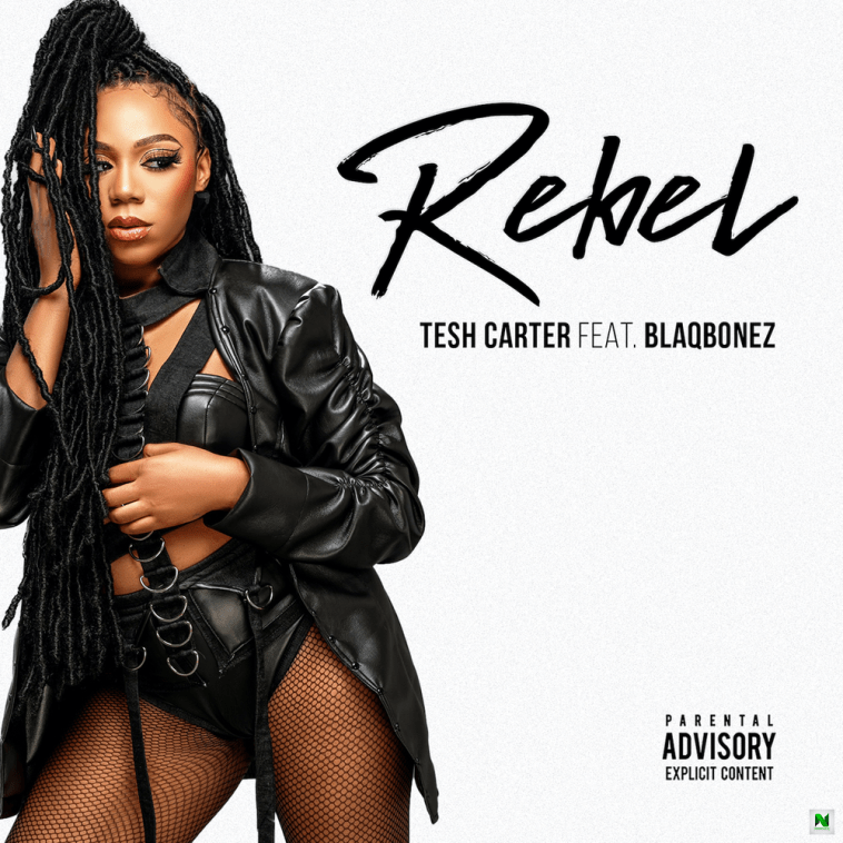 Download Tesh Carter ft. Blaqbonez – Rebel