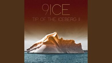 9ice - Tip Of The Iceberg II (album)