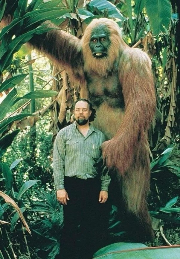 The largest primate on Earth