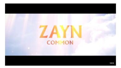ZAYN – Common