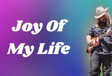 Chris Stapleton - Joy of my life mp3 download