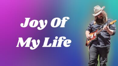 Chris Stapleton - Joy of my life mp3 download